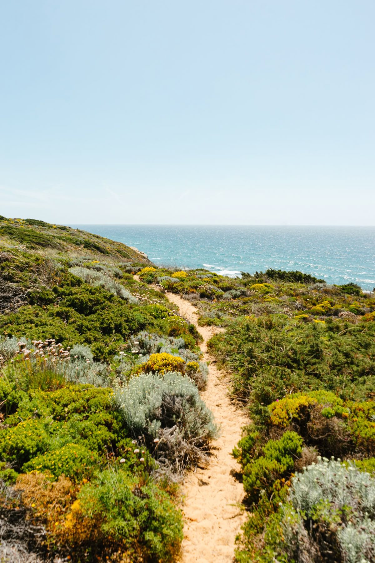 Coastal trail leading to the ocean